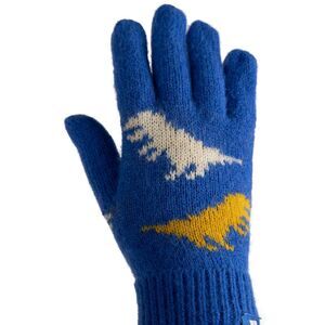 Trespass Childrens/Kids Casper Gloves / Blue